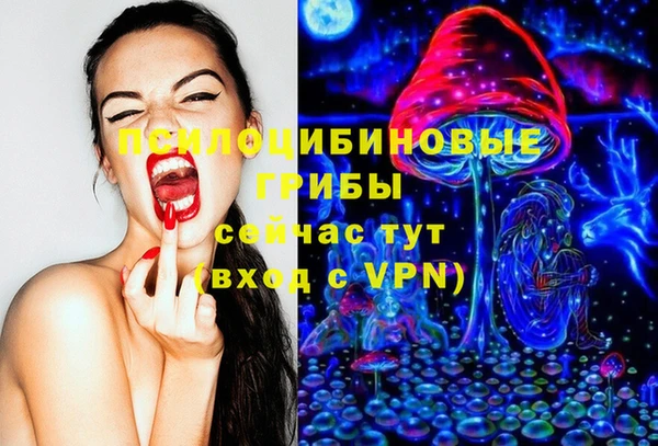 марки lsd Богданович