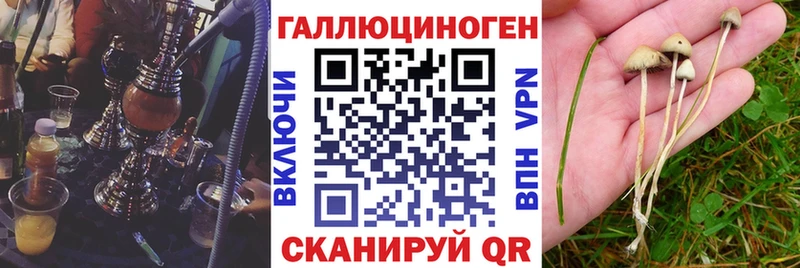 Галлюциногенные грибы Magic Shrooms  продажа наркотиков  Донской 